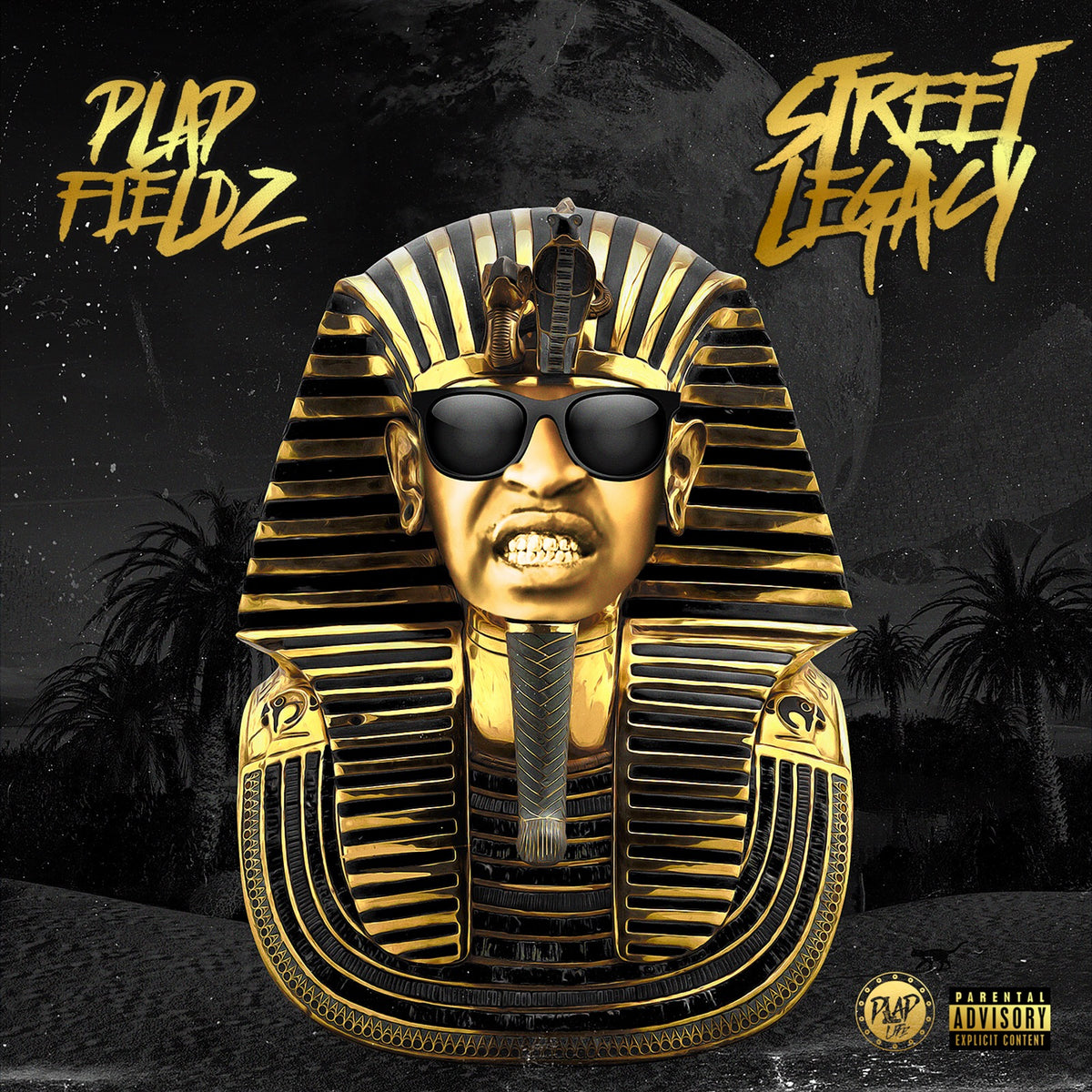 Street Legacy by Plap Fieldz front cover